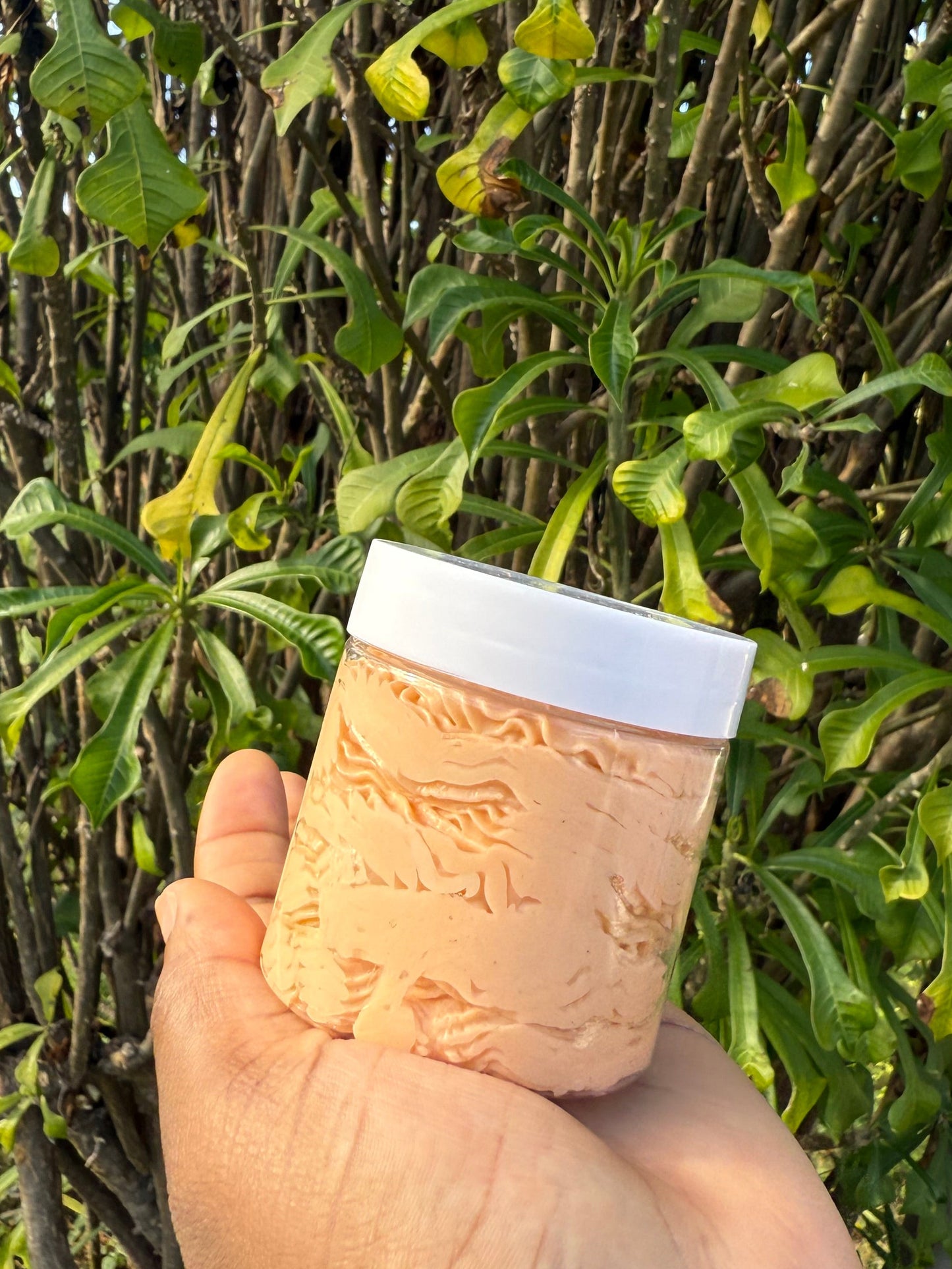 Let that Mango Passion